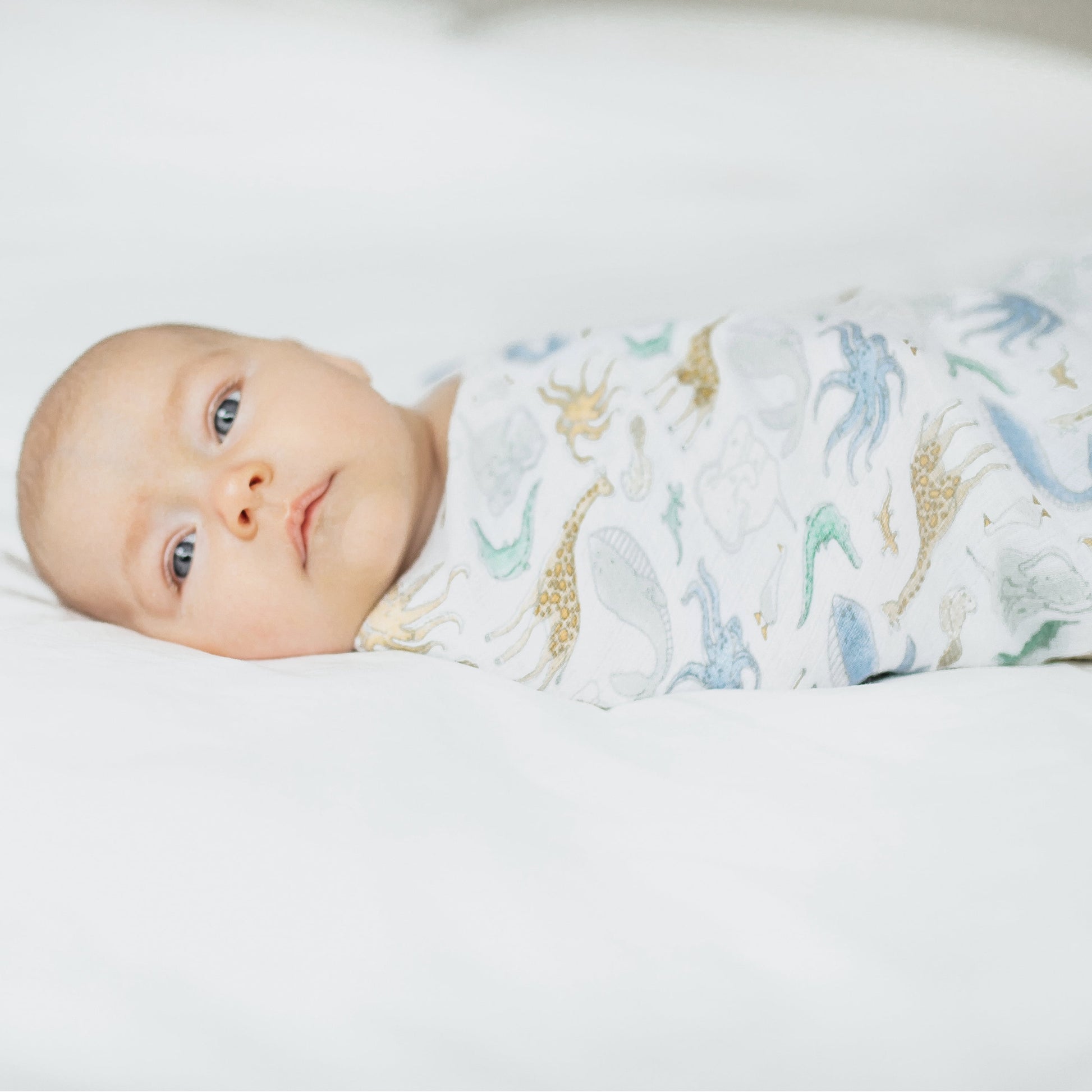 Aden + Anais Essentials 100% Muslin Cotton Swaddle Blanket, Unisex, 4 Pack, Natural History